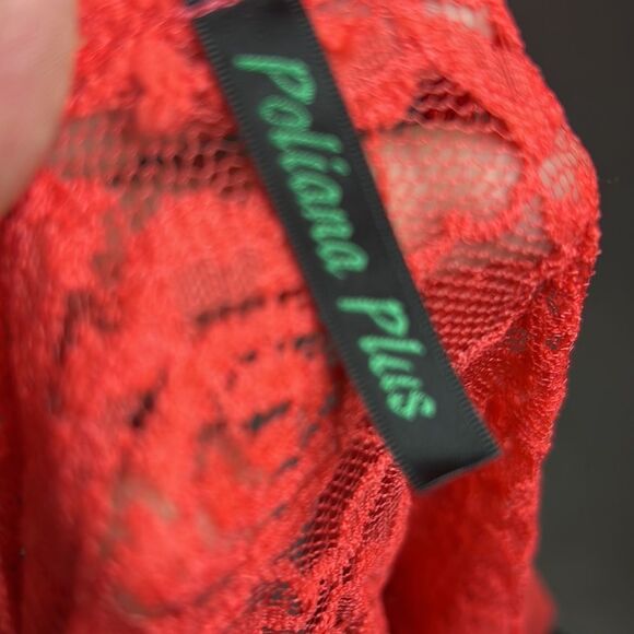 Poliana Plus Dress nwt - Picture 5 of 9